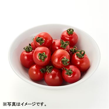 おうちでイオン イオンネットスーパー 熊本県などの国内産 ミニトマト