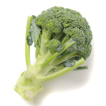 おうちでイオン イオンネットスーパー 徳島県などの国内産