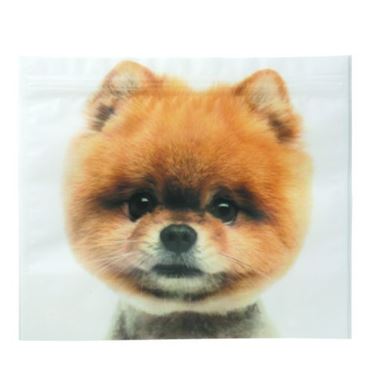 おうちでイオン イオンネットスーパー 包む ジッパーバッグ 犬 ポメラニアン Wlサイズ 5枚入 T2814