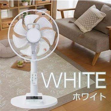 おうちでイオン イオンネットスーパー HOME COORDY リモコン式 DC