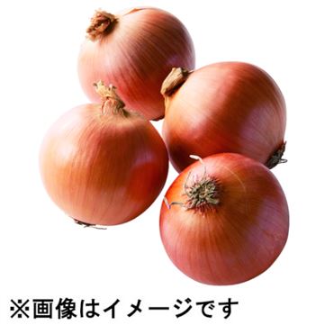おうちでイオン イオンネットスーパー トップバリュ減の恵み 北海道などの国内産 たまねぎ 中粒 1袋
