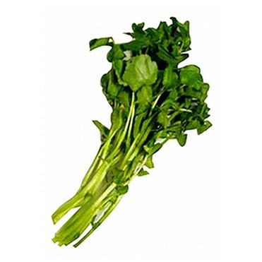 おうちでイオン イオンネットスーパー 栃木県などの国内産 クレソン 1袋