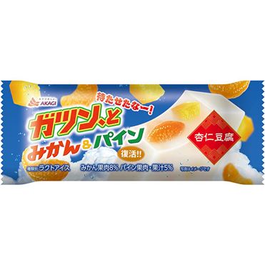 おうちでイオン イオンネットスーパー 赤城乳業 ガツン、と