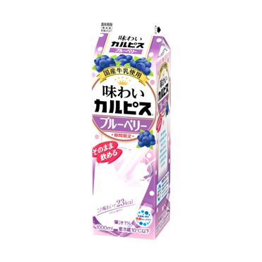 おうちでイオン イオンネットスーパー エルビー 味わいカルピスブルーベリー 1000ml