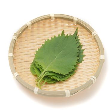 おうちでイオン イオンネットスーパー トップバリュ 愛知県産 大葉 1袋