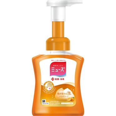 おうちでイオン イオンネットスーパー 泡タイプ レキットベンキーザー ジャパン ミューズ 泡ハンドソープ フルーティーフレッシュの香り 本体 250ml