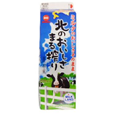 おうちでイオン イオンネットスーパー 日本酪農 北のおいしさまる搾り 1000ml おうちでイオン イオンネットスーパー 日本酪農 北のおいしさまる搾り 1000ml