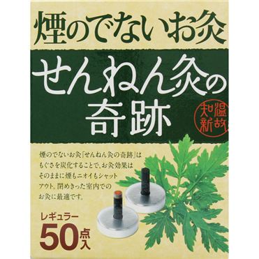 おうちでイオン イオンネットスーパー セネファ 煙のでないお灸