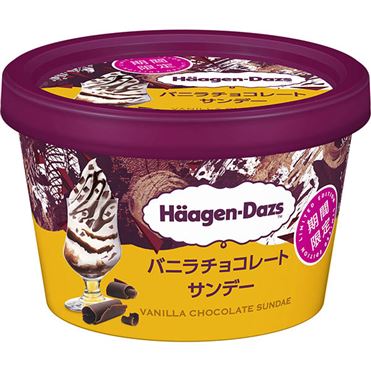 ハーゲンダッツ ミニカップバニラチョコレートサンデー 110ml