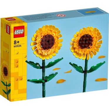 おうちでイオン イオンネットスーパー 【8歳以上】レゴ（LEGO