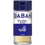 ハウス食品 GABAN ジンジャーパウダー 18g