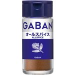ハウス食品 GABAN オールスパイスパウダー 16g