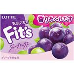 ロッテ Fits グレープミックス 12枚入