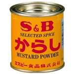 エスビー食品 からし缶 35g