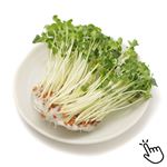 埼玉県などの国内産 かいわれ 1パック