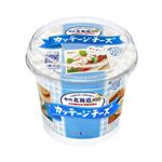 雪印メグミルク 雪印北海道100カッテージチーズ 200g