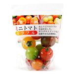 愛知県などの国内産 カラフルミニトマト 130g 1パック