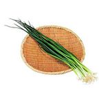 高知県 などの国内産 薬味ねぎ 1袋 【12月1日～12月2日のお受取り】