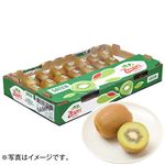 【予約】 ニュージーランド産 ゼスプリ グリーンキウイフルーツ 2L～Mサイズ 27個～33個入 1箱 【6月25日～6月29日のお受取り】