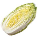 茨城県などの国内産 はくさい 1／2カット