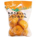 和歌山県などの国内産 早出しこつぶみかん 1袋 【11月7日～11月9日のお受取り】