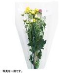 小菊ミックス