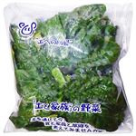 長野県などの国内産 ちぢみほうれん草 1袋