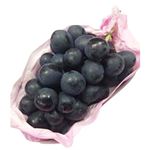 長野県などの国内産 ぶどう（ナガノパープル）500g（100gあたり（本体）138円）