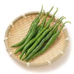 高知県などの国内産 青とうがらし 30g 1袋