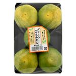 愛知県などの国内産 蒲郡グリーンハウスみかん 500g 2Sサイズ