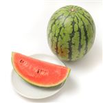 茨城県などの国内産 紅小玉すいか 1個  ※【6／3配送限定】