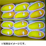 【予約】 タイ産 マンゴー（マハチャノ種）箱 4.5kg 12～15個入 1箱 【4月28日～5月5日配送】