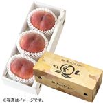 【予約】 山梨県産 もも（一宮プレミアム）特秀品 3玉化粧箱 1箱 【7月25日～7月29日のお受取り】