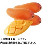 【予約】 タイ産 マンゴー（マハチャノ種）5個 【4月28日～5月5日配送】