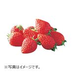 埼玉県産 いちご（とちおとめ）1パック