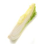 茨城県などの国内産 はくさい 少量 1／8カット
