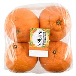 佐賀県などの国内産 しらぬい 1袋 【3月20日－23日のお受取り】