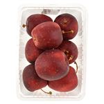 長野県などの国内産 りんご（アルプス乙女）1パック