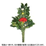 仏花 1束 ※冷蔵配送（10~4℃以下）のため、低温障害（変色、枯れの早まり）が発生する場合がございます。