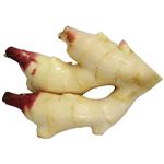 高知県などの国内産 新しょうが200g（100gあたり（本体）98円）1パック 【6月1日（木）～4日（日）の配送】