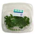愛知県などの国内産 木の芽 1パック