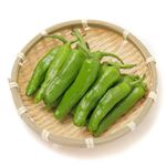 高知県 などの国内産 ししとうパック 1パック 【6月9日～6月10日のお受取り】