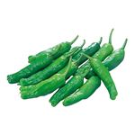 高知県などの国内産 ししとう 50g 1パック