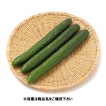 福岡県 などの国内産 きゅうり 3本入 1パック