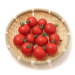 茨城県などの国内産 ミニトマト 150g 1パック