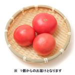 栃木県などの国内産 トマト 1個【3／28～29配送】