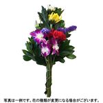 仏花（大）国産