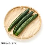 千葉県または埼玉県などの国内産 きゅうり（フリーダム）3本入 1袋