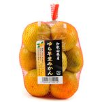 愛知県などの国内産 ゆら早生みかん 550g 1袋