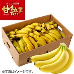 【予約】 フィリピン産 ふぞろい甘熟王バナナ大箱 15kg入（約80本） 【7月25日～7月29日のお受取り】